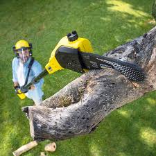 Best Tree Disease Treatment  in Helena, AL