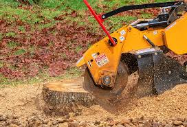 Best Root Management and Removal  in Helena, AL